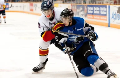 $SJSeaDogs_ChrisParent-7005405.webp