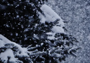 $snow 006 (1280x896).webp