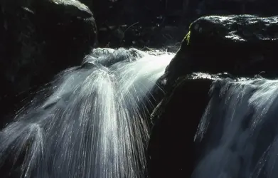 $water_fall_f2a_4386a.webp