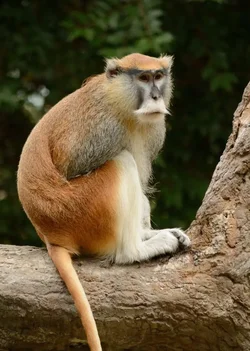 $Zoo_0013_zps9a7be8dc.webp