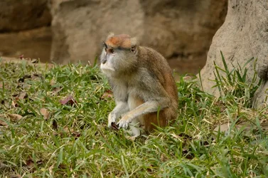 $Zoo_0012_zps77985f33.webp