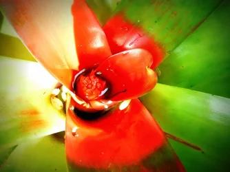 $rsz_1rsz_dscf4221-2.webp