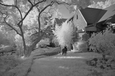 $DSC_4996.webp