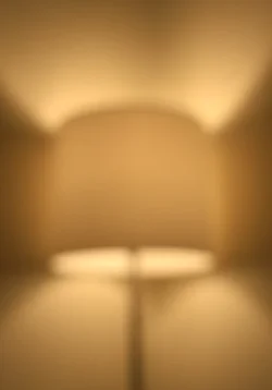 $_DSC5442.webp $_DSC5442.webp