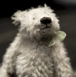 $BearBear11___edited-1.webp