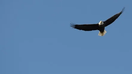 $DSC_0246 - Copy (800x453).webp