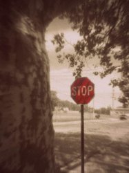 $Stop Sign.jpg