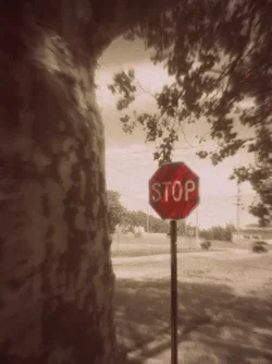 $Stop Sign.webp