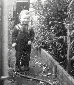 $Harvey age 2.webp