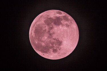 Pink Moon 2.jpg