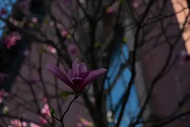 unedited raw file.webp