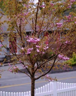 79EF73B9-828F-4D14-A8E0-BE6192915024.webp