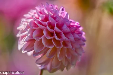 16546 Sony GM 70-200f2.8.webp