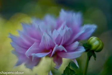 16700 Sony GM 50f1.2.webp