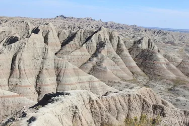 52197507682_a0e05ce4b0_c.webp