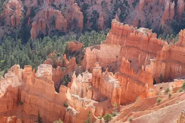 52199420531_139d305256_c.webp