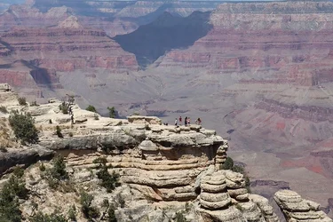 52198423907_553fe3c408_c.webp