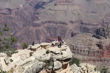 52198423522_a61cd555fc_c.webp