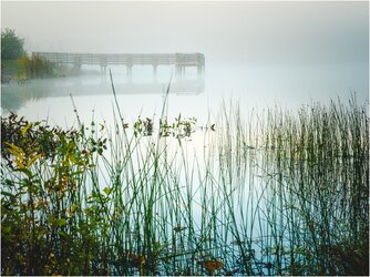 Morning Fog At Helmetta Lake.jpg