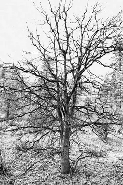 160a---th---Shoot-186editedWeb2.webp