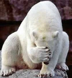 polarbearfacepalm.jpg