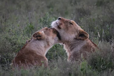 Africa Pics-32.webp