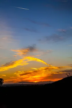 $Late Evening Sunset CA.webp