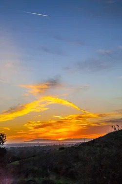 $New Sunset.webp
