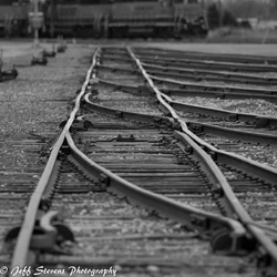 $IMG_4588-2.webp