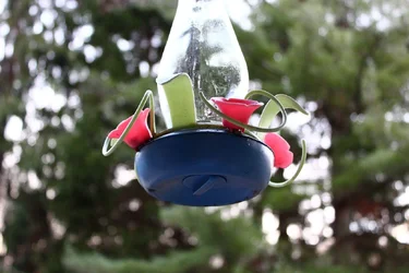 $IMG_0017.webp
