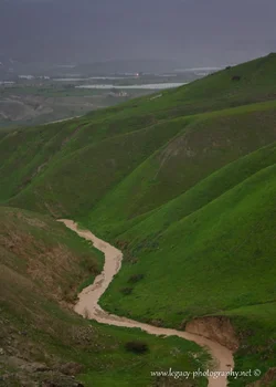 $Winter River in the Jordan Valley - 2.webp