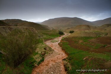 $Winter River in the Jordan Valley - 3.jpg