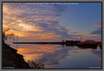 $Reflections in Gold_sm.webp