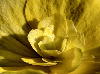 $P1120618_19_20_21_22_fused.webp