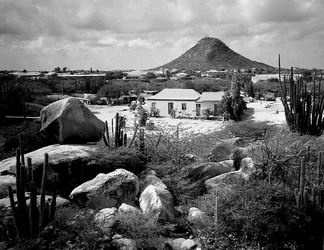 $ArubanLandscape8.5x11BW800.webp