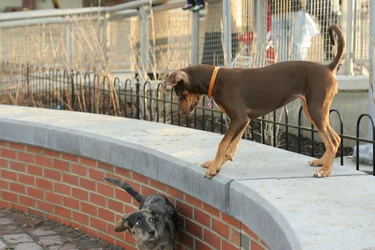 $_MG_7353.webp $_MG_7353.webp