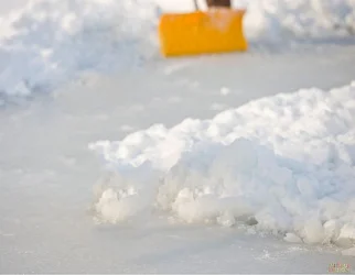 $shovel.webp