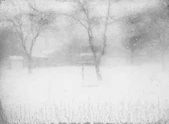 $winter window.webp