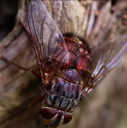 Screenshot_20230709-225736_Gallery.webp