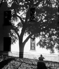 _9200949-2.webp