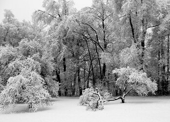 A mantel of white.jpg