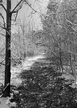 Winter trail small.jpg