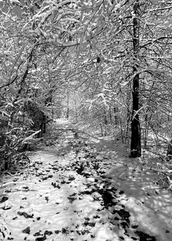 trail in winter 2 small.jpg