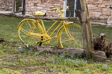 Springtime8-small.webp