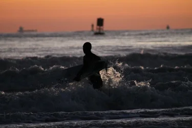 $Surfer2.webp