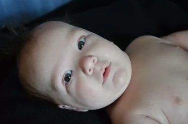 $brayson15.webp