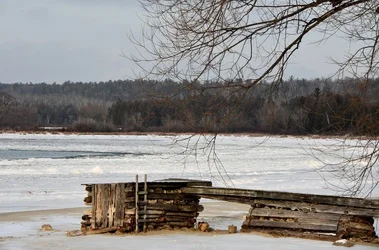 $woodplanks (800x528).webp