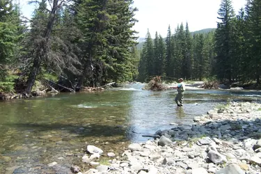 $08 Jun Fishing 002.webp