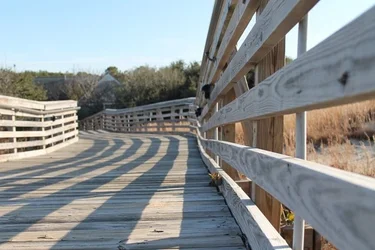 $Deck Walk.webp
