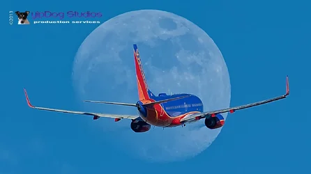 $Southwest to the Moon.webp
